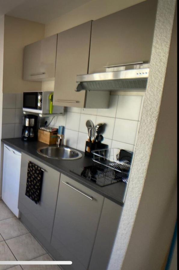 Studio Climatise Et Grande Terrasse Tarbes Centre Dış mekan fotoğraf